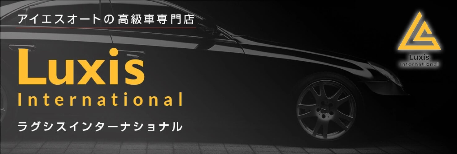 ラグシスインターナショナル画像